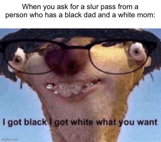 N or C? | When you ask for a slur pass from a person who has a black dad and a white mom: | image tagged in i got black i got white what ya want | made w/ Imgflip meme maker