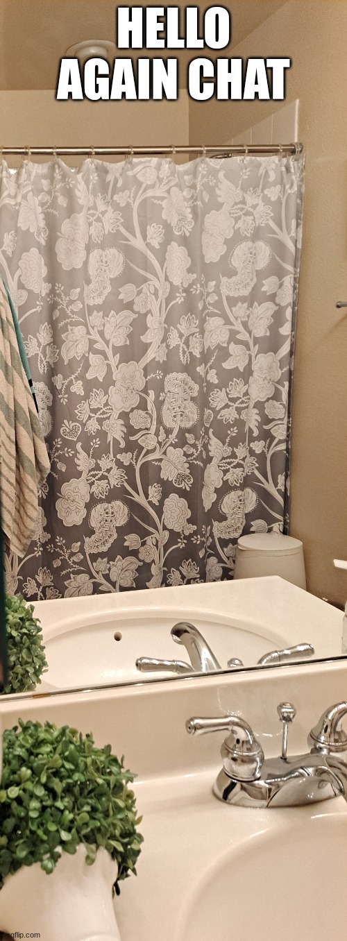 totally normal bathroom selfie | HELLO AGAIN CHAT | image tagged in totally normal bathroom selfie | made w/ Imgflip meme maker