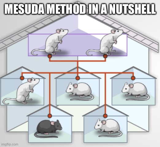 Image title | MESUDA METHOD IN A NUTSHELL | image tagged in pokemon | made w/ Imgflip meme maker