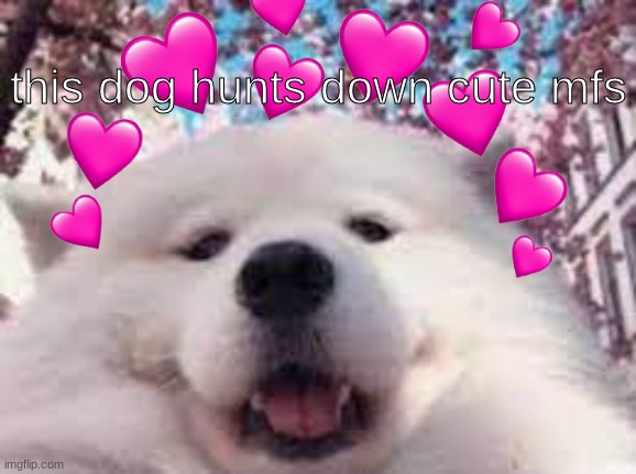 he sees you (i appear to be on a dog rush) | this dog hunts down cute mfs | made w/ Imgflip meme maker
