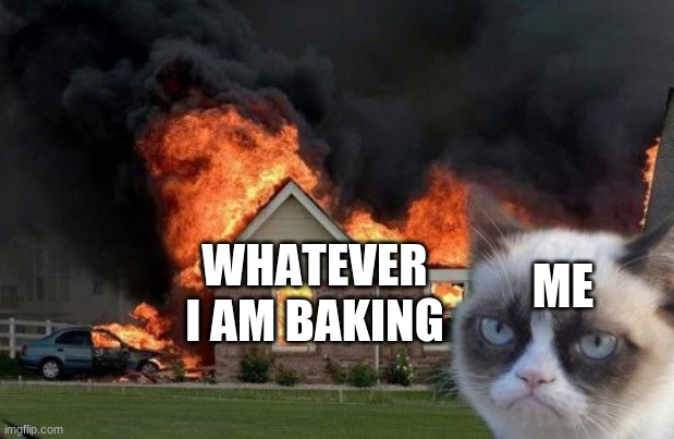 Burn Kitty Meme | WHATEVER I AM BAKING; ME | image tagged in memes,burn kitty,grumpy cat | made w/ Imgflip meme maker