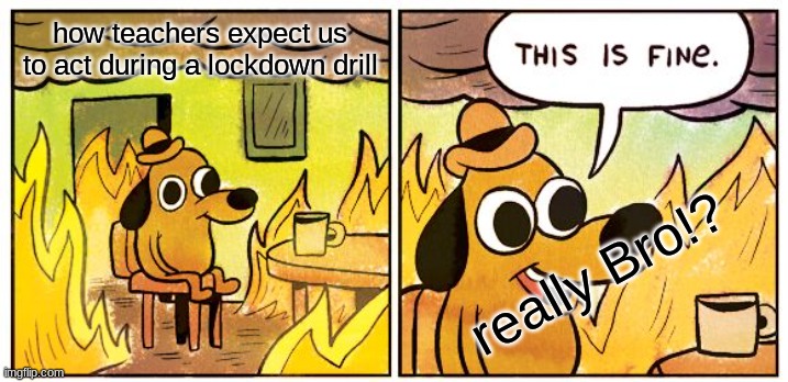 This Is Fine | how teachers expect us to act during a lockdown drill; really Bro!? | image tagged in memes,this is fine | made w/ Imgflip meme maker