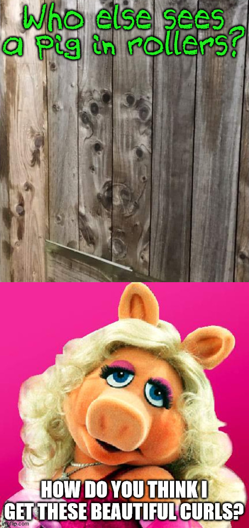 HOW DO YOU THINK I GET THESE BEAUTIFUL CURLS? | image tagged in miss piggy,wholesome | made w/ Imgflip meme maker