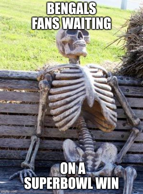 Waiting Skeleton | BENGALS FANS WAITING; ON A SUPERBOWL WIN | image tagged in memes,waiting skeleton | made w/ Imgflip meme maker