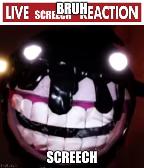 live screech reaction | BRUH; SCREECH | image tagged in live screech reaction,funny | made w/ Imgflip meme maker