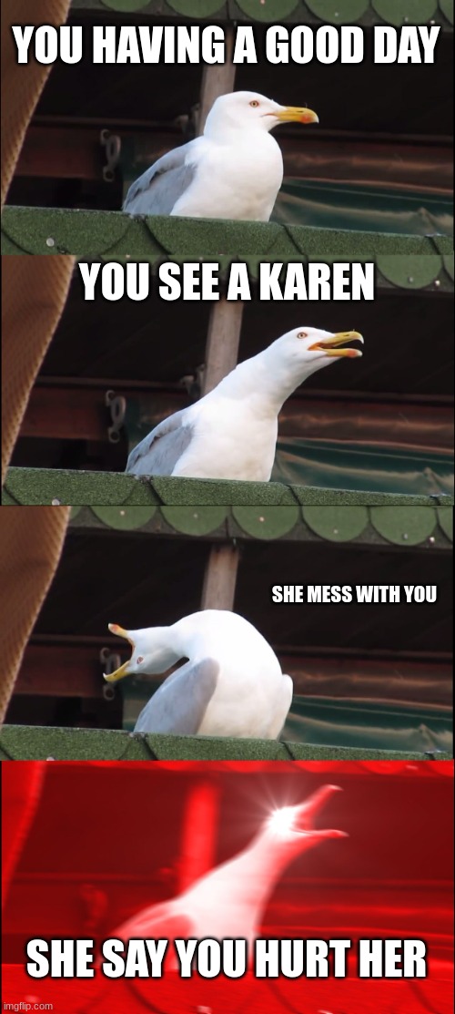 Inhaling Seagull | YOU HAVING A GOOD DAY; YOU SEE A KAREN; SHE MESS WITH YOU; SHE SAY YOU HURT HER | image tagged in memes,inhaling seagull | made w/ Imgflip meme maker