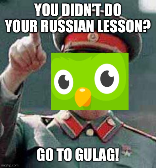 Duolingo Stalin | YOU DIDN’T DO YOUR RUSSIAN LESSON? GO TO GULAG! | image tagged in stalin says,duolingo,russian,gulag,memes,funny | made w/ Imgflip meme maker