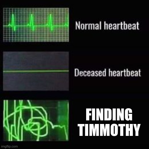 Timmoty will always get us | FINDING TIMMOTHY | image tagged in heartbeat rate,doors,spider | made w/ Imgflip meme maker