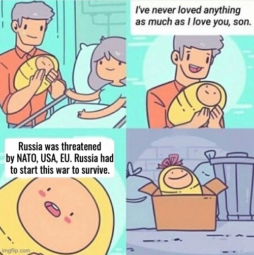 Parental disappointment | Russia was threatened by NATO, USA, EU. Russia had to start this war to survive. | image tagged in beloved newborn son | made w/ Imgflip meme maker