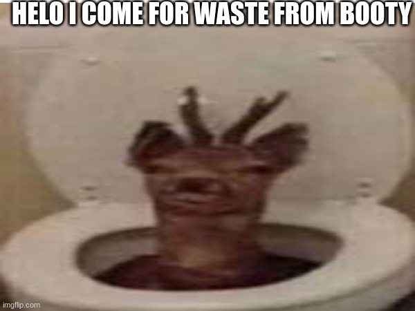 ummmmm | HELO I COME FOR WASTE FROM BOOTY | image tagged in penis jokes | made w/ Imgflip meme maker