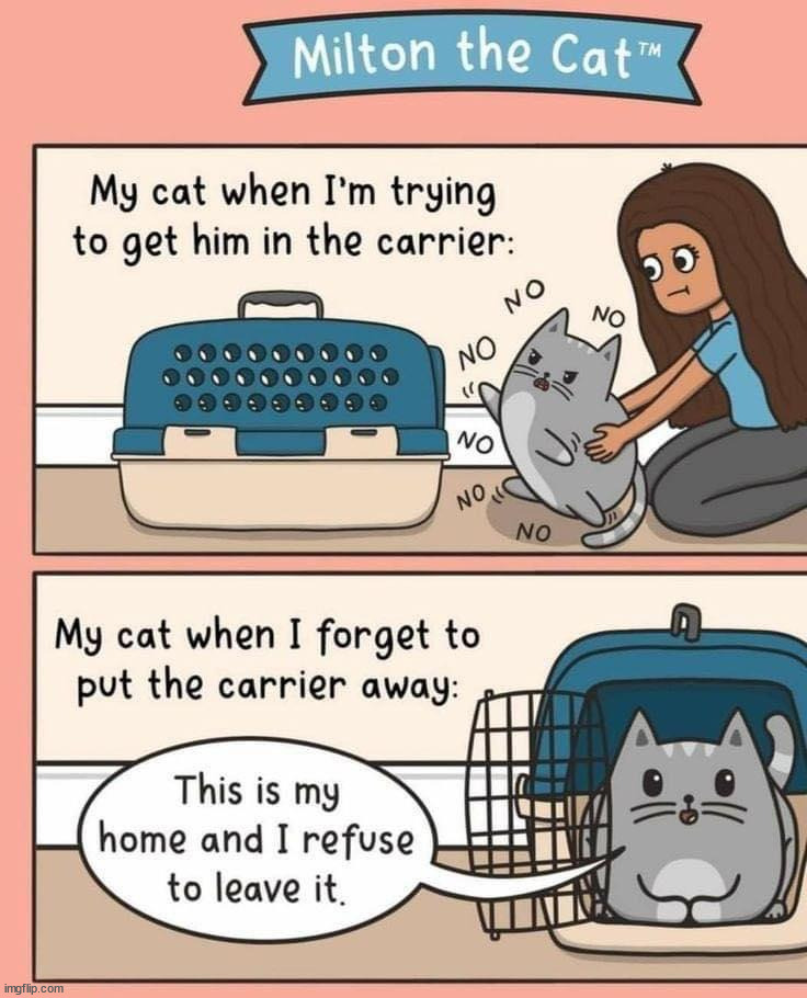 image tagged in comics | made w/ Imgflip meme maker