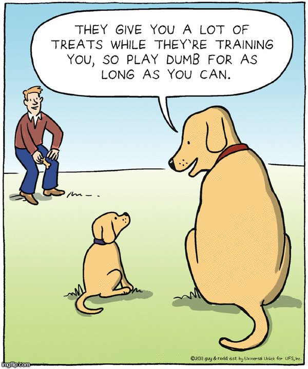 image tagged in comics | made w/ Imgflip meme maker
