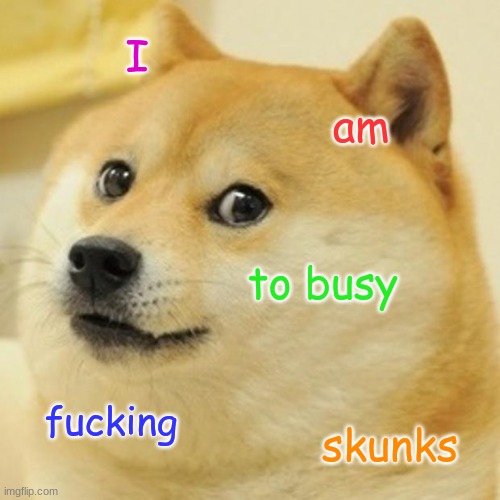 YES I AM | I; am; to busy; fucking; skunks | image tagged in memes,doge | made w/ Imgflip meme maker