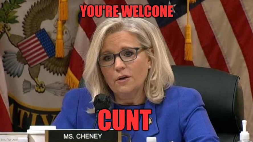 Liz Cheney | YOU'RE WELCONE CUNT | image tagged in liz cheney | made w/ Imgflip meme maker