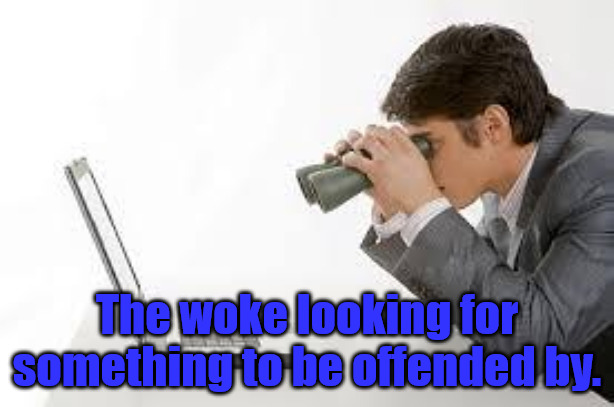 Let me be Offended | The woke looking for something to be offended by. | image tagged in searching computer | made w/ Imgflip meme maker