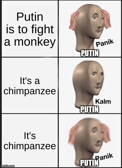 Panik Kalm Panik | Putin is to fight a monkey; PUTIN; It's a chimpanzee; PUTIN; It's chimpanzee; PUTIN | image tagged in memes,panik kalm panik | made w/ Imgflip meme maker