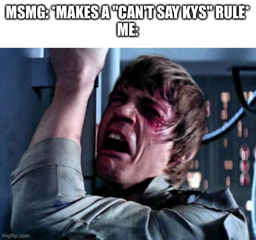 shitty ass meme (kys) | MSMG: *MAKES A "CAN'T SAY KYS" RULE*
ME: | image tagged in luke skywalker noooo | made w/ Imgflip meme maker