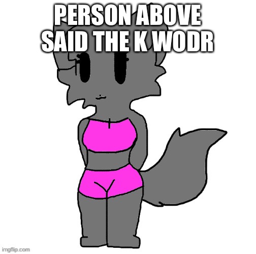 Annabeth full body | PERSON ABOVE SAID THE K WODR | image tagged in female lordreaperus full body | made w/ Imgflip meme maker