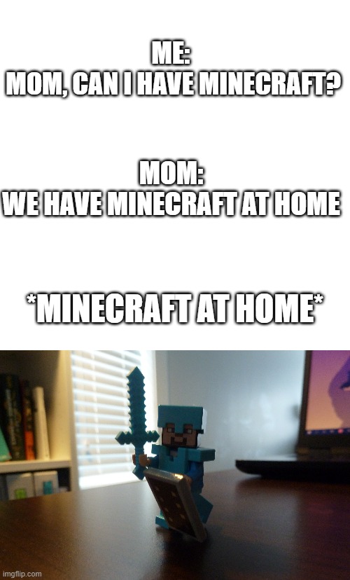 Minecraft home | ME: 
MOM, CAN I HAVE MINECRAFT? MOM:
WE HAVE MINECRAFT AT HOME; *MINECRAFT AT HOME* | image tagged in memes,blank transparent square | made w/ Imgflip meme maker
