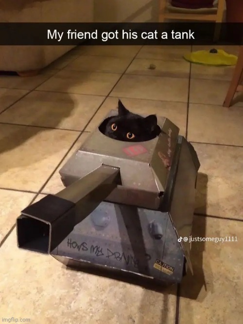 Tank | image tagged in cat,tank,cat tank | made w/ Imgflip meme maker