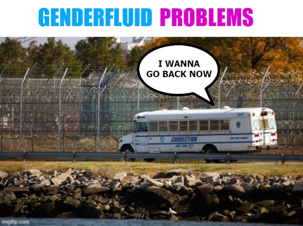 Driver: "FFS!" | PROBLEMS; GENDERFLUID; I WANNA GO BACK NOW | image tagged in gender identity,funny,gender fluid,lgbtq | made w/ Imgflip meme maker