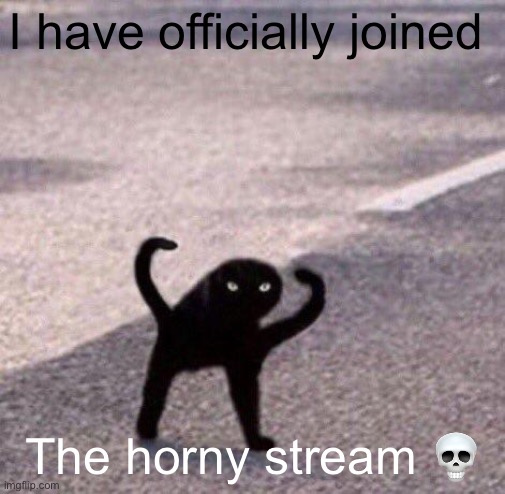 Cursed cat temp | I have officially joined; The horny stream 💀 | image tagged in cursed cat temp | made w/ Imgflip meme maker