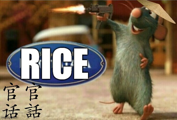 ratatata | RICE | image tagged in ratatata,chinese,funny,remy the rat,rice | made w/ Imgflip meme maker