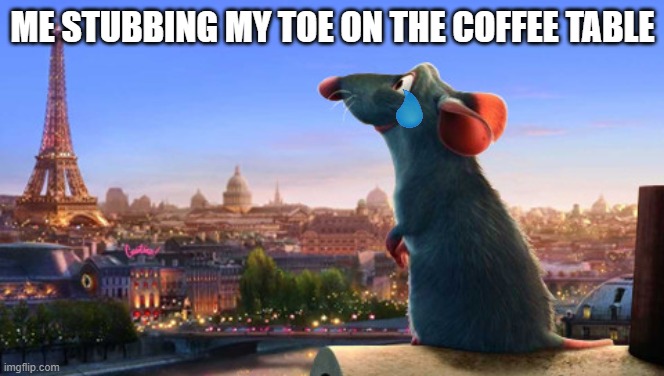 Ratatouille | ME STUBBING MY TOE ON THE COFFEE TABLE | image tagged in ratatouille,funny,goofy ahh | made w/ Imgflip meme maker