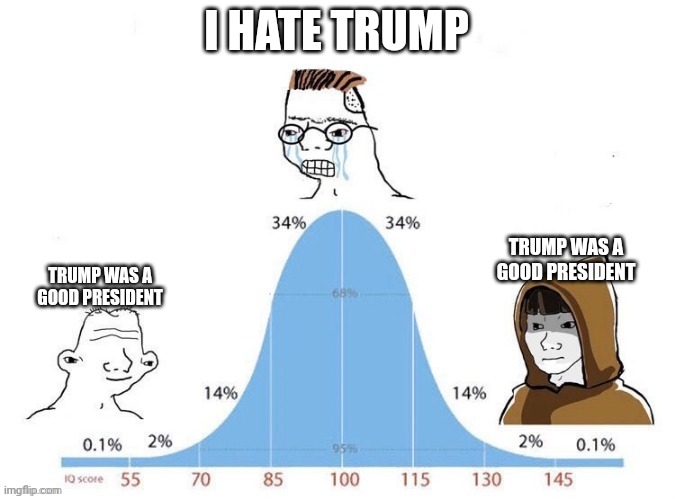 Political Intelligence Bell Curve | I HATE TRUMP; TRUMP WAS A GOOD PRESIDENT; TRUMP WAS A GOOD PRESIDENT | image tagged in bell curve | made w/ Imgflip meme maker