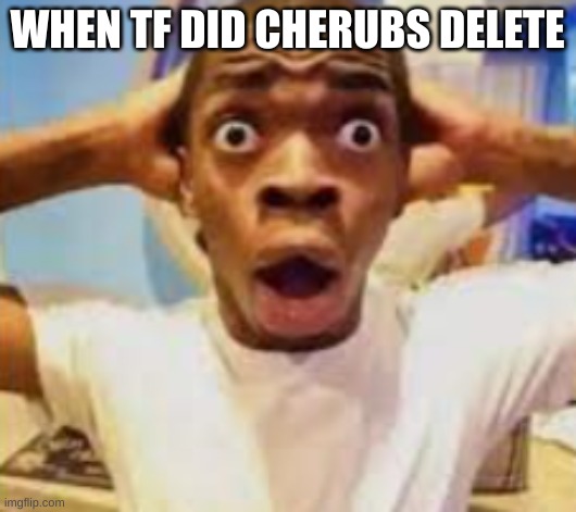 damn she was one of the few people I liked here | WHEN TF DID CHERUBS DELETE | made w/ Imgflip meme maker