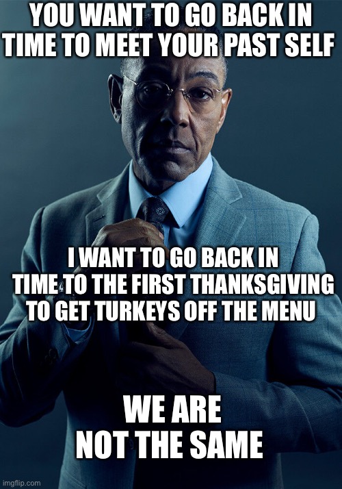 turkey | YOU WANT TO GO BACK IN TIME TO MEET YOUR PAST SELF; I WANT TO GO BACK IN TIME TO THE FIRST THANKSGIVING TO GET TURKEYS OFF THE MENU; WE ARE NOT THE SAME | image tagged in gus fring we are not the same,funny,memes,turkey,birds | made w/ Imgflip meme maker