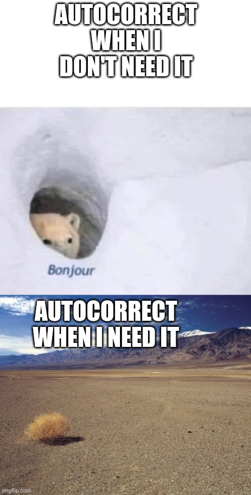 Credits to one of my best friends | AUTOCORRECT WHEN I DON'T NEED IT; AUTOCORRECT WHEN I NEED IT | image tagged in bonjour,desert tumbleweed,memes,autocorrect | made w/ Imgflip meme maker