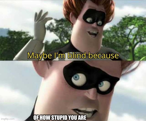 Maybe i'm blind because | OF HOW STUPID YOU ARE | image tagged in maybe i'm blind because | made w/ Imgflip meme maker