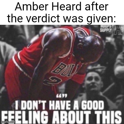 Made an amber Heard meme this late cause idk | Amber Heard after the verdict was given: | image tagged in pie charts | made w/ Imgflip meme maker