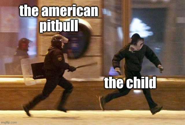 Police Chasing Guy | the american pitbull; the child | image tagged in police chasing guy | made w/ Imgflip meme maker