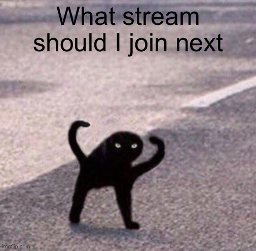 Cursed cat temp | What stream should I join next | image tagged in cursed cat temp | made w/ Imgflip meme maker