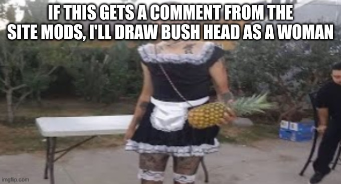 maid hitler | IF THIS GETS A COMMENT FROM THE SITE MODS, I'LL DRAW BUSH HEAD AS A WOMAN | image tagged in maid hitler | made w/ Imgflip meme maker