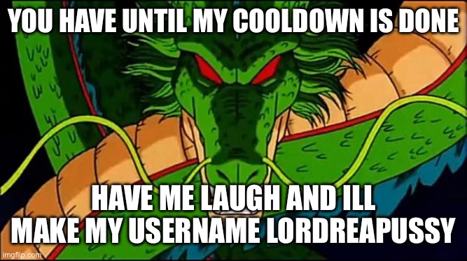 DBZ Shenron | YOU HAVE UNTIL MY COOLDOWN IS DONE; HAVE ME LAUGH AND ILL MAKE MY USERNAME LORDREAPUSSY | image tagged in dbz shenron | made w/ Imgflip meme maker