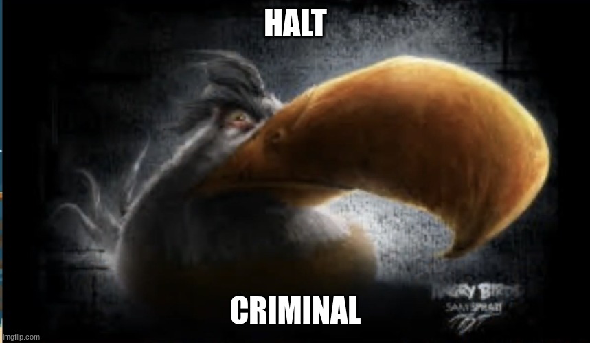 New halt criminal card | HALT; CRIMINAL | image tagged in realistic mighty eagle | made w/ Imgflip meme maker