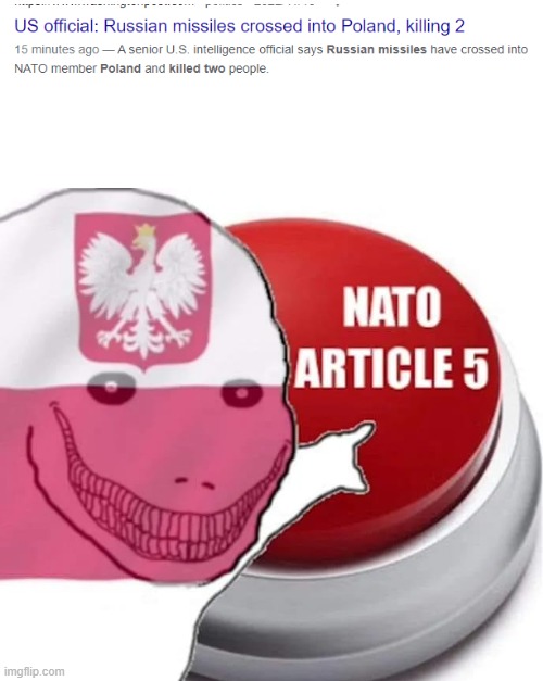 Article 5 | image tagged in nato article 5 | made w/ Imgflip meme maker