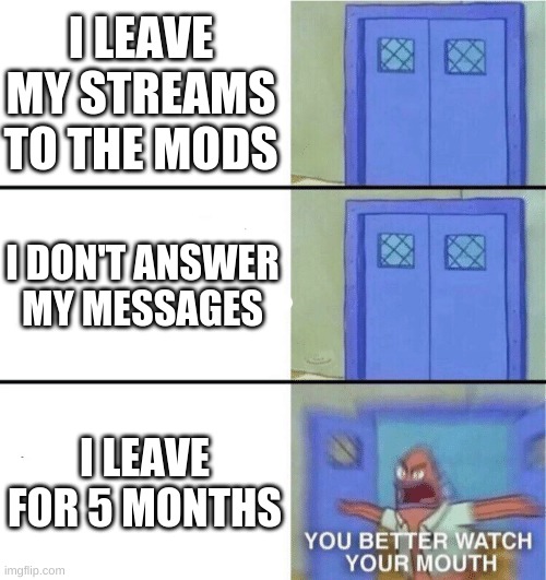 You better watch your mouth | I LEAVE MY STREAMS TO THE MODS; I DON'T ANSWER MY MESSAGES; I LEAVE FOR 5 MONTHS | image tagged in you better watch your mouth | made w/ Imgflip meme maker