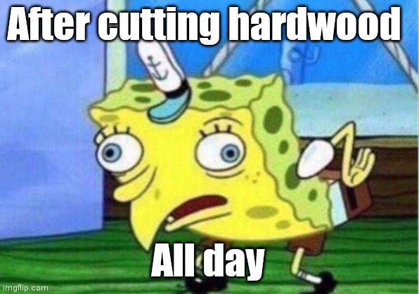 Mocking Spongebob | After cutting hardwood; All day | image tagged in memes,mocking spongebob | made w/ Imgflip meme maker