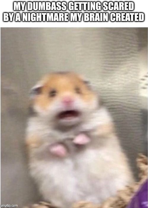 Scared Hamster |  MY DUMBASS GETTING SCARED BY A NIGHTMARE MY BRAIN CREATED | image tagged in scared hamster,stupid,nightmare,dreams | made w/ Imgflip meme maker