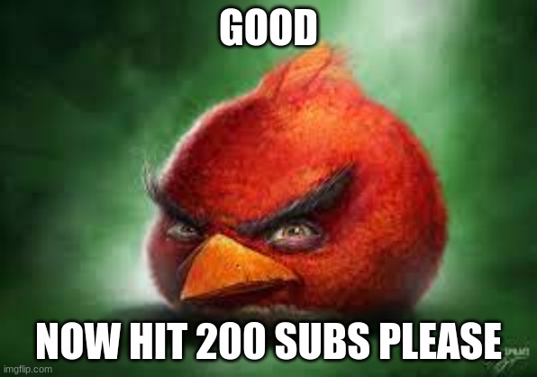 Realistic Red Angry Birds | GOOD; NOW HIT 200 SUBS PLEASE | image tagged in realistic red angry birds | made w/ Imgflip meme maker