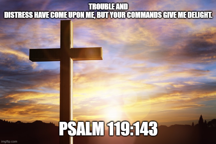 Bible Verse of the Day | TROUBLE AND DISTRESS HAVE COME UPON ME, BUT YOUR COMMANDS GIVE ME DELIGHT. PSALM 119:143 | image tagged in bible verse of the day | made w/ Imgflip meme maker