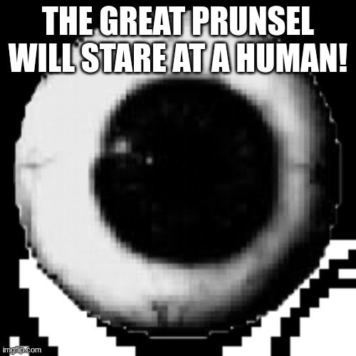 lo frt (Mod note:Bold of you to assume I'm human) | THE GREAT PRUNSEL WILL STARE AT A HUMAN! | made w/ Imgflip meme maker