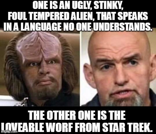 When you see his picture next to Worf, you realize just how incredibly ugly he is. | ONE IS AN UGLY, STINKY, FOUL TEMPERED ALIEN, THAT SPEAKS IN A LANGUAGE NO ONE UNDERSTANDS. THE OTHER ONE IS THE LOVEABLE WORF FROM STAR TREK. | image tagged in ugly aliens,star trek,election fraud,how to recognize a stroke | made w/ Imgflip meme maker