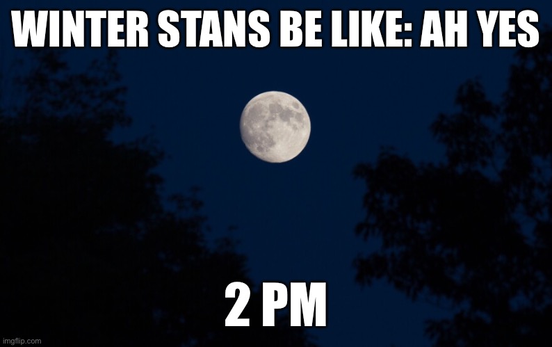 Winter is only good for christmas, coziness, and snow | WINTER STANS BE LIKE: AH YES; 2 PM | made w/ Imgflip meme maker