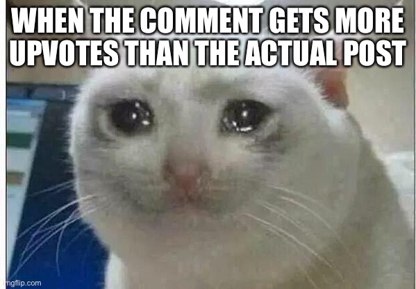 When he comment gets more upvotes than the actual post | WHEN THE COMMENT GETS MORE UPVOTES THAN THE ACTUAL POST | image tagged in crying cat | made w/ Imgflip meme maker