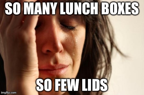 First World Problems | SO MANY LUNCH BOXES SO FEW LIDS | image tagged in memes,first world problems | made w/ Imgflip meme maker